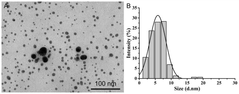 Simple method for preparing nano-silver based on plumeria rubra extracting solution