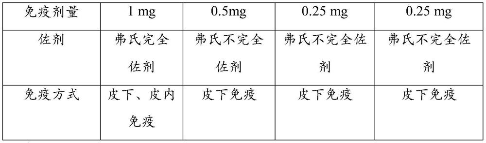 Nanobody, nucleic acid molecule and application of anti-human chorionic gonadotropin beta subunit