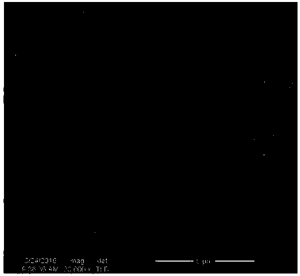 Application of arsenite oxidizing bacterium in trivalent arsenic polluted rice paddy soil colonization