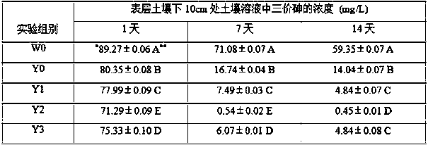 Application of arsenite oxidizing bacterium in trivalent arsenic polluted rice paddy soil colonization