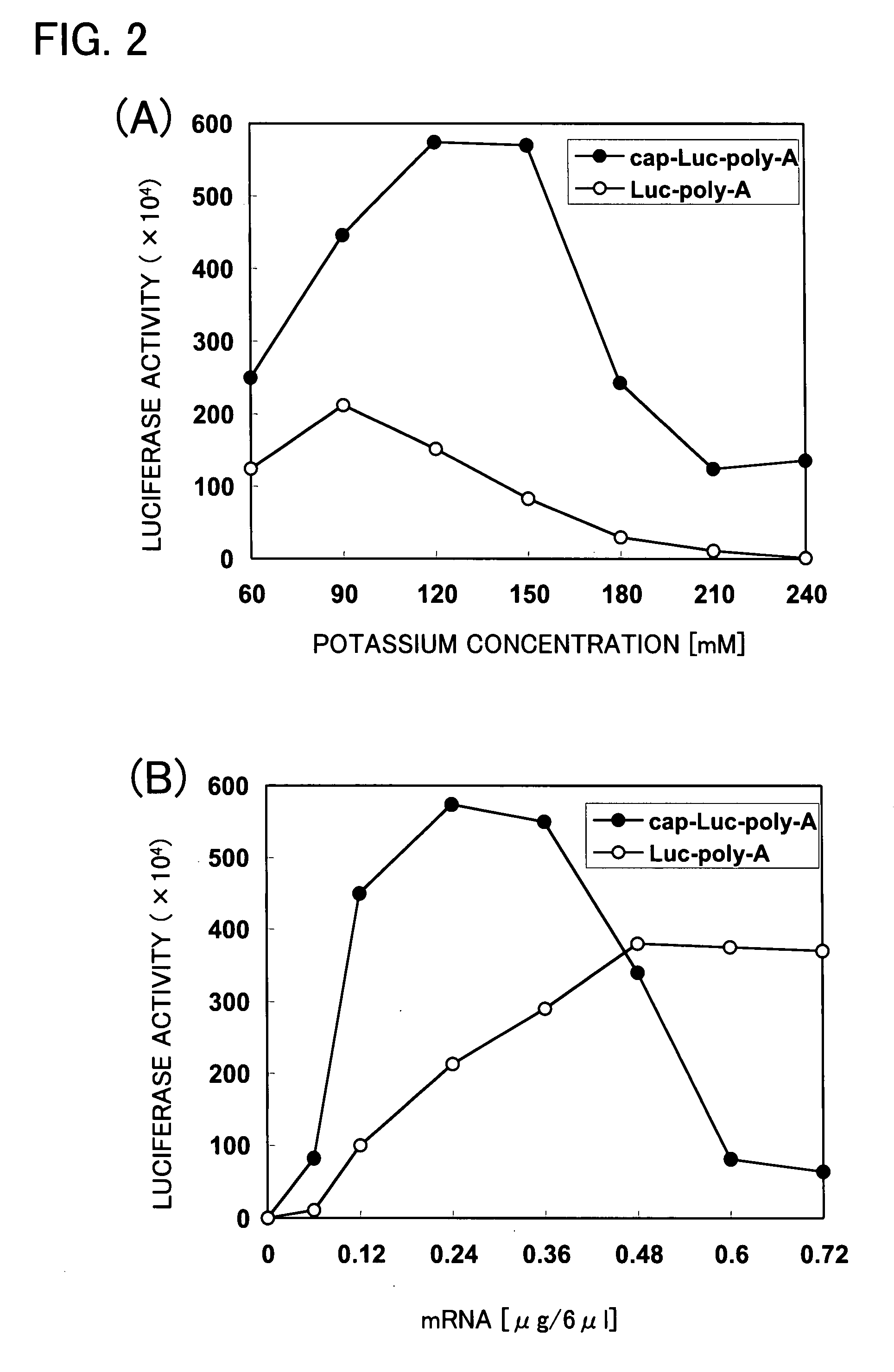 Cell-free system for synthesis of proteins derived from cultured mammalian cells