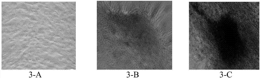 Composite stent material