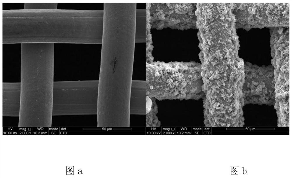 Super-hydrophobic metal net based on bionic mussels as well as preparation method and application of super-hydrophobic metal net