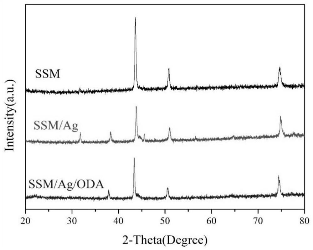 Super-hydrophobic metal net based on bionic mussels as well as preparation method and application of super-hydrophobic metal net