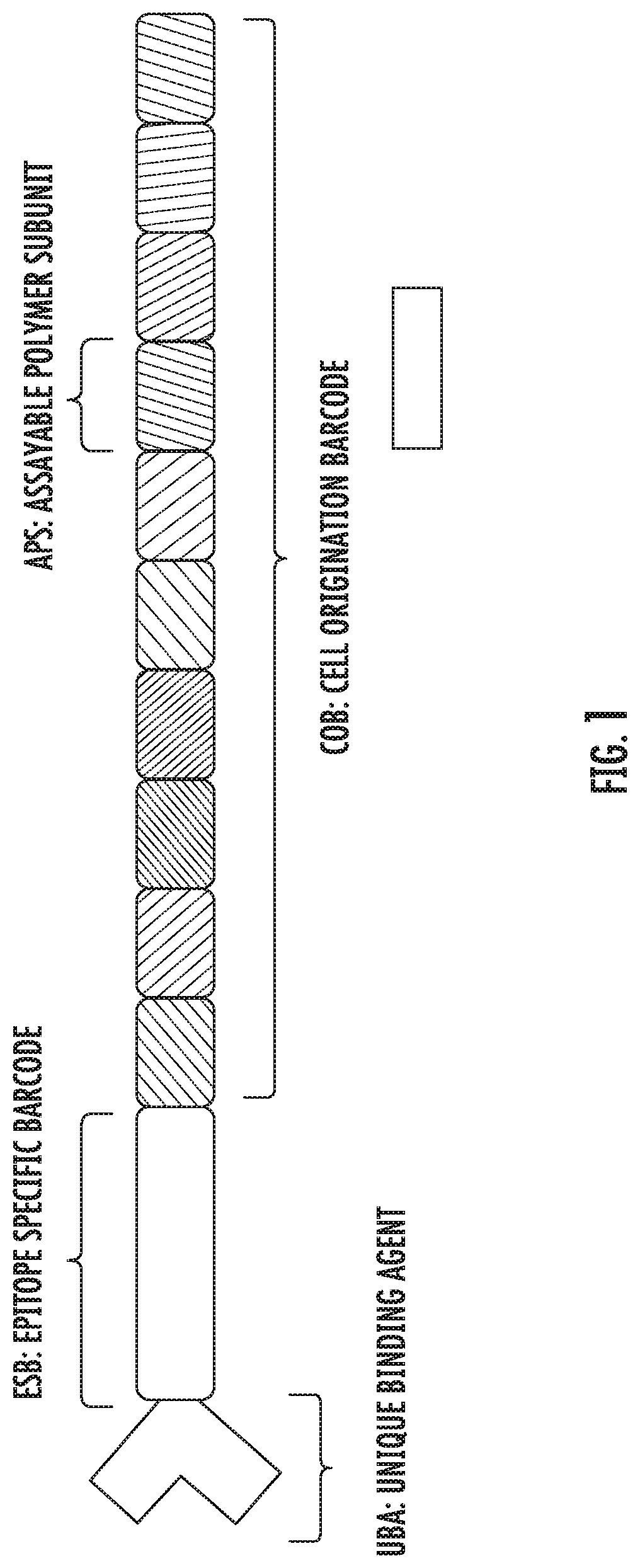 Methods for identifying multiple epitopes in selected sub-populations of cells