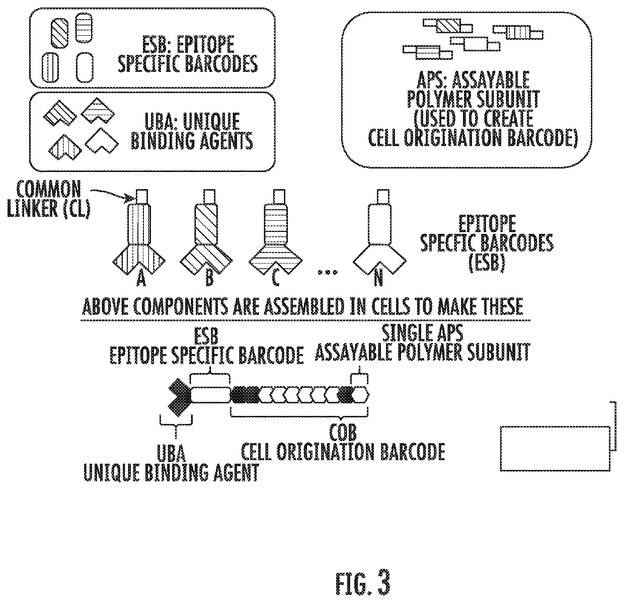 Methods for identifying multiple epitopes in selected sub-populations of cells