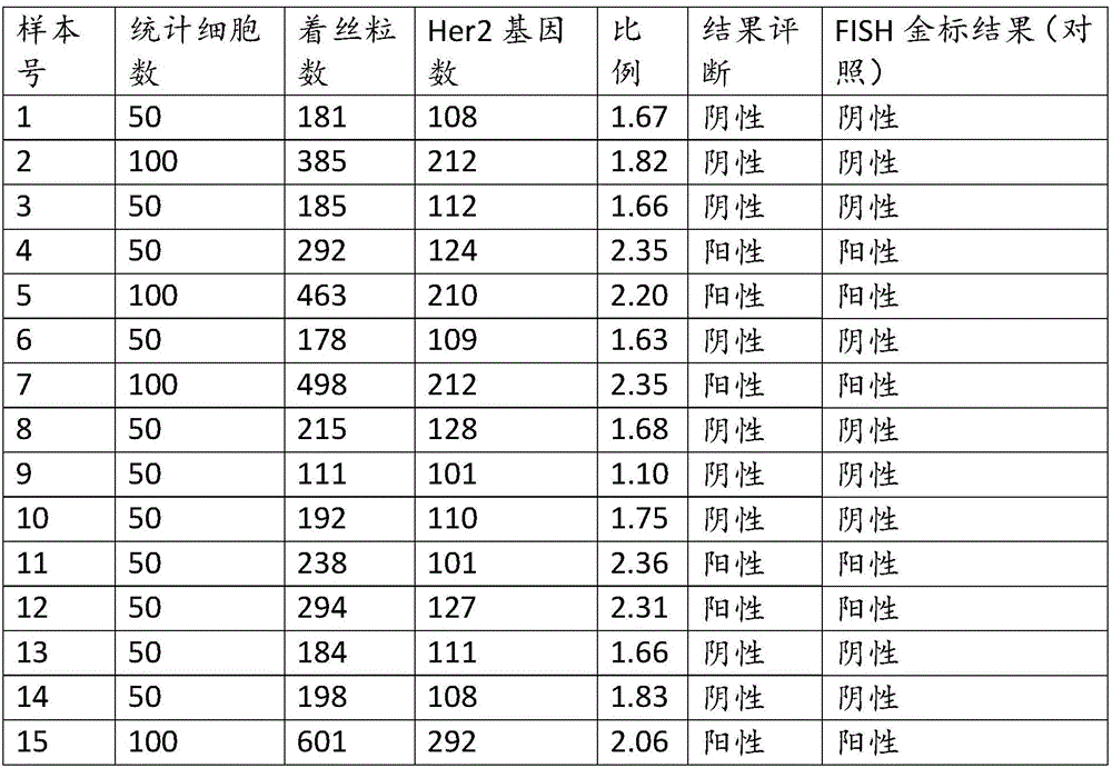 Kit for amplifying Her2 (Human epidermal growth factor receptor-2) gene in human peripheral blood circulating tumor DNA (Deoxyribonucleic Acid)