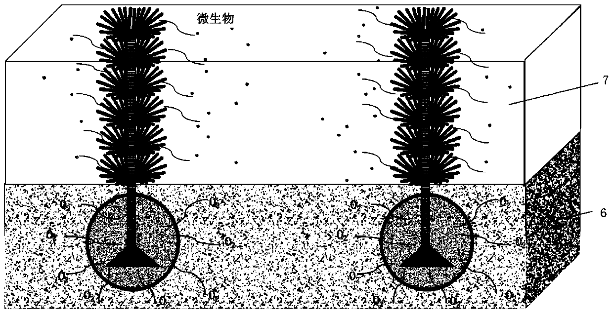 In-situ black-odor river bottom mud repairing material as well as potting and application thereof