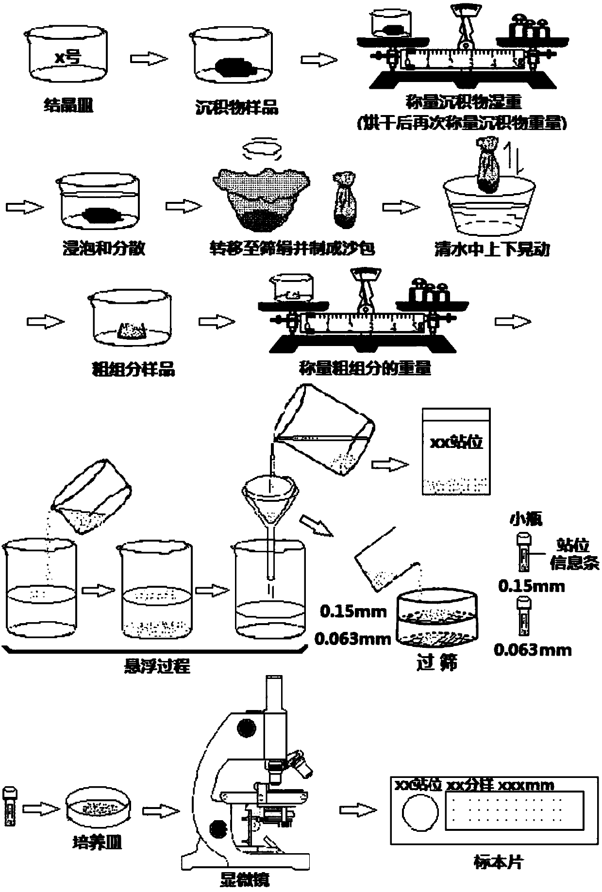 Method of quantitative purification and preparation of deep sea foraminifer micro body samples