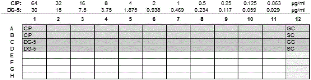 Application of medicinal nano-material composition DG-5 to resistance of drug resistant bacteria