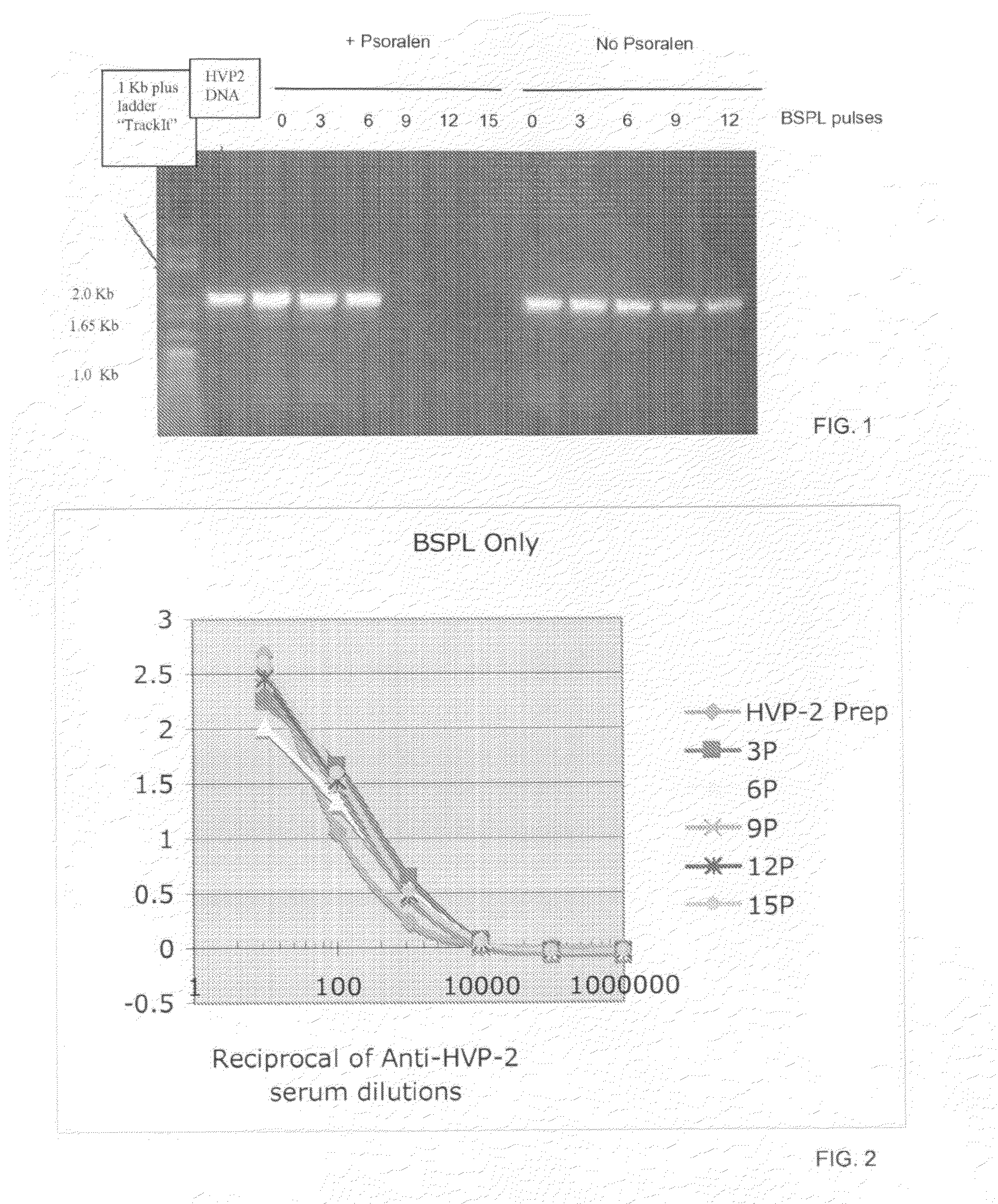 Photo-Inactivated Viruses and Systems and Methods of Using the Same