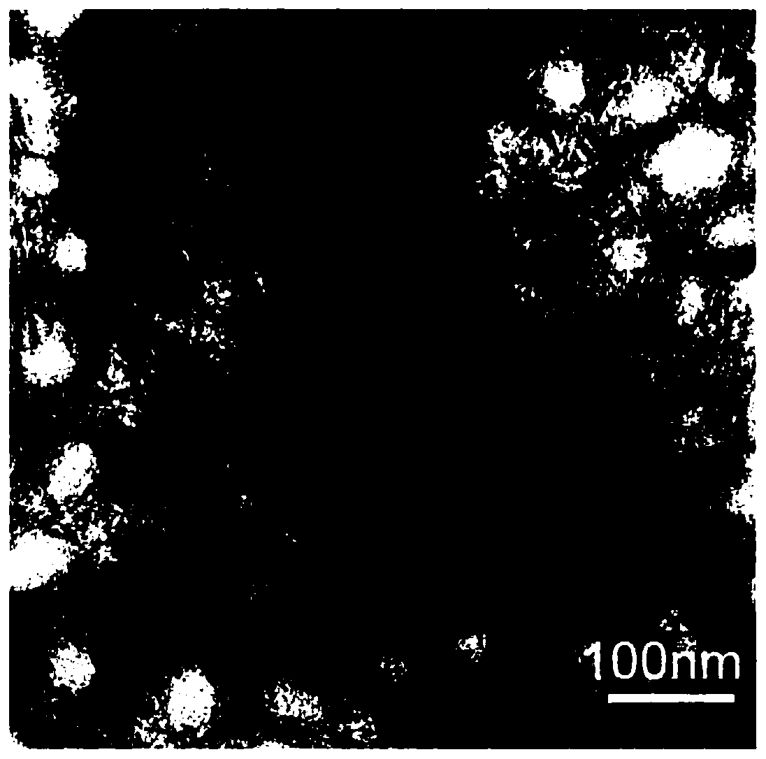 Nanofiber antitumor vaccine formed by self-assembly peptide folding and method