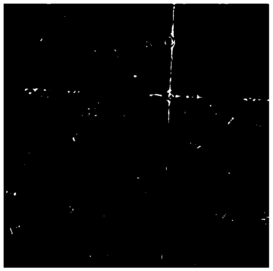 Drawing method of acute hepatic failure mouse liver full-immune cell characteristic spectrum