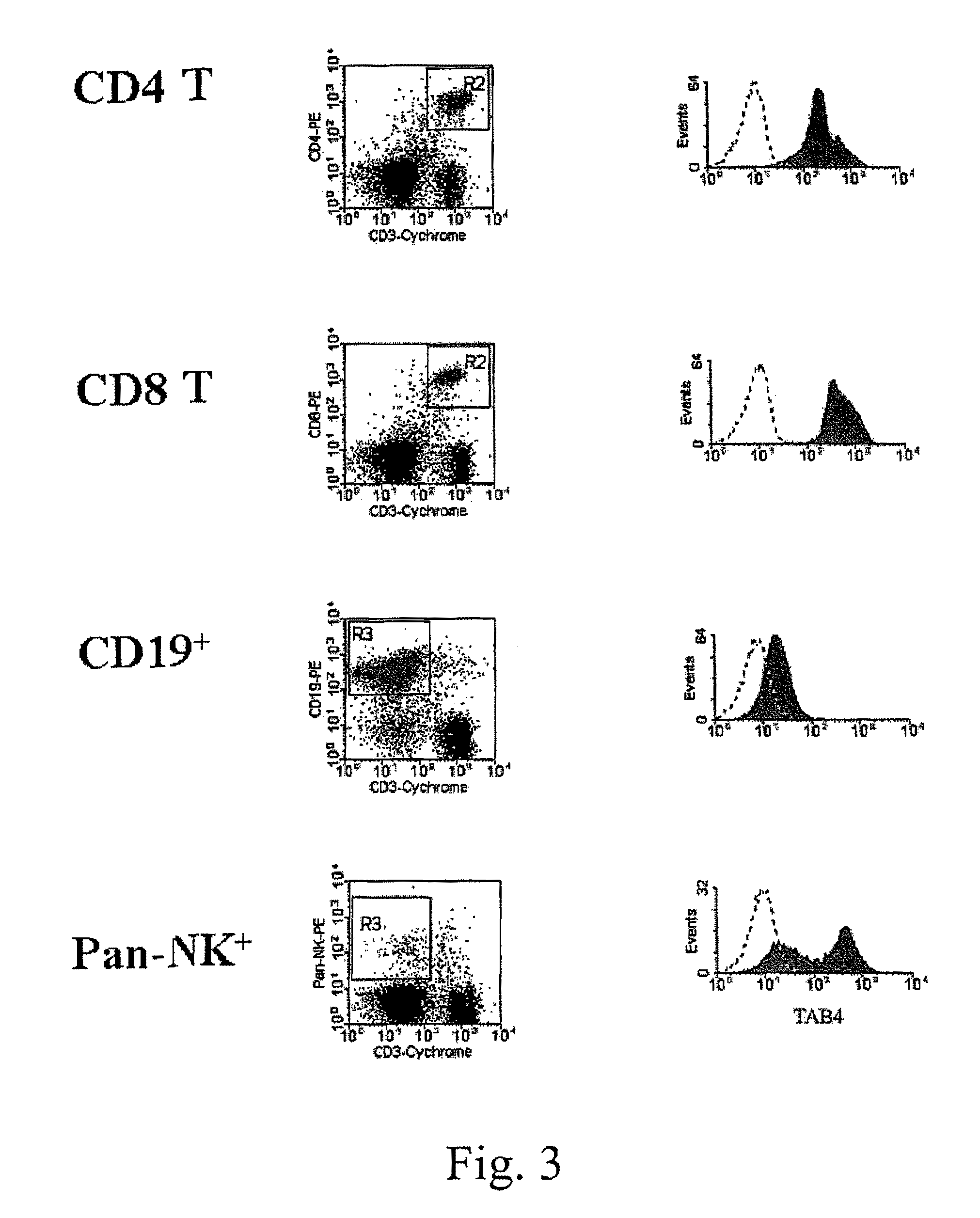 Methods of reducing T cell-mediated immune responses with multimeric P-selectin and/or E-selectin compounds