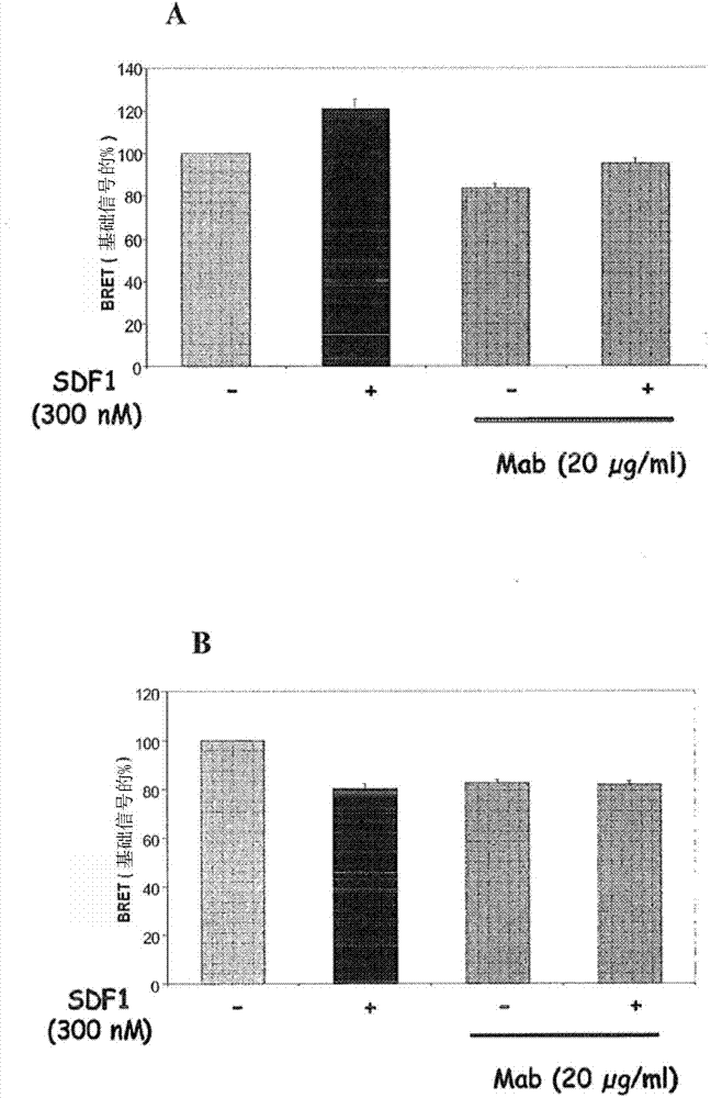 Use of the antibody I-3859 for the detection and diagnosis of cancer