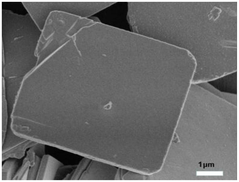 A tetragonal phase (nh  <sub>4</sub> )  <sub>2</sub> v  <sub>3</sub> o  <sub>8</sub> Preparation method of nanosheet and its application