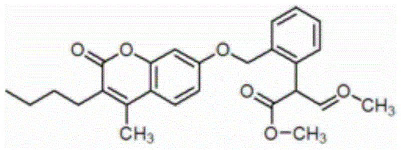 Bactericidal composition containing bixafen and coumoxystrobin and application thereof