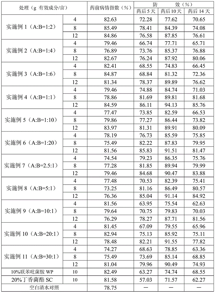 Bactericidal composition containing bixafen and coumoxystrobin and application thereof