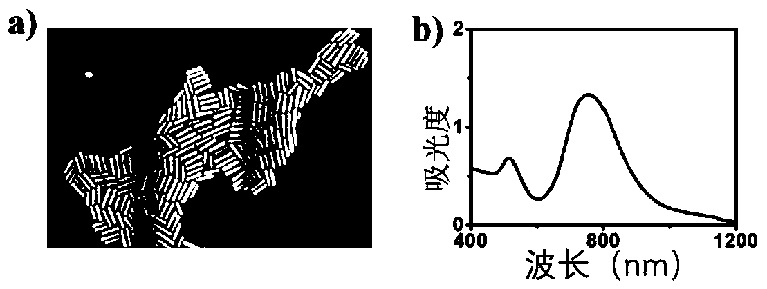 Preparation method, product and application of bio-electronic hydrogel