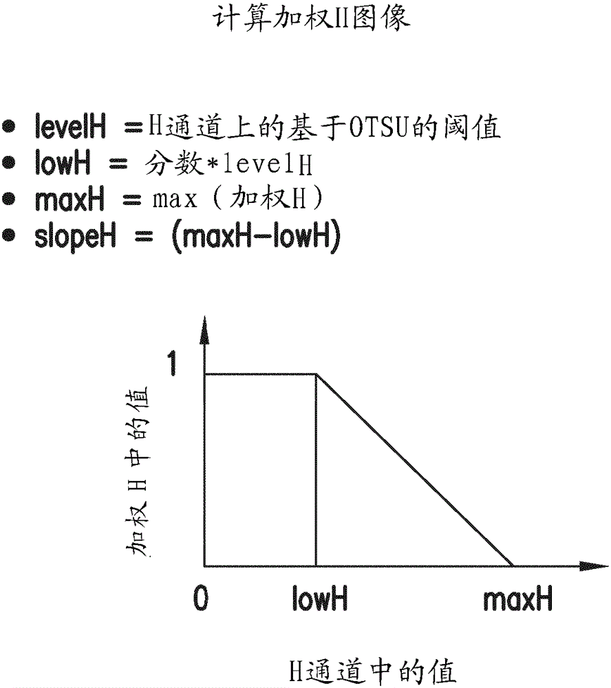 Whole slide image registration and cross-image annotation devices, systems and methods