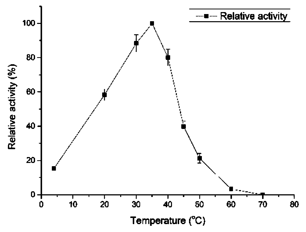 Alginate lyase and application thereof