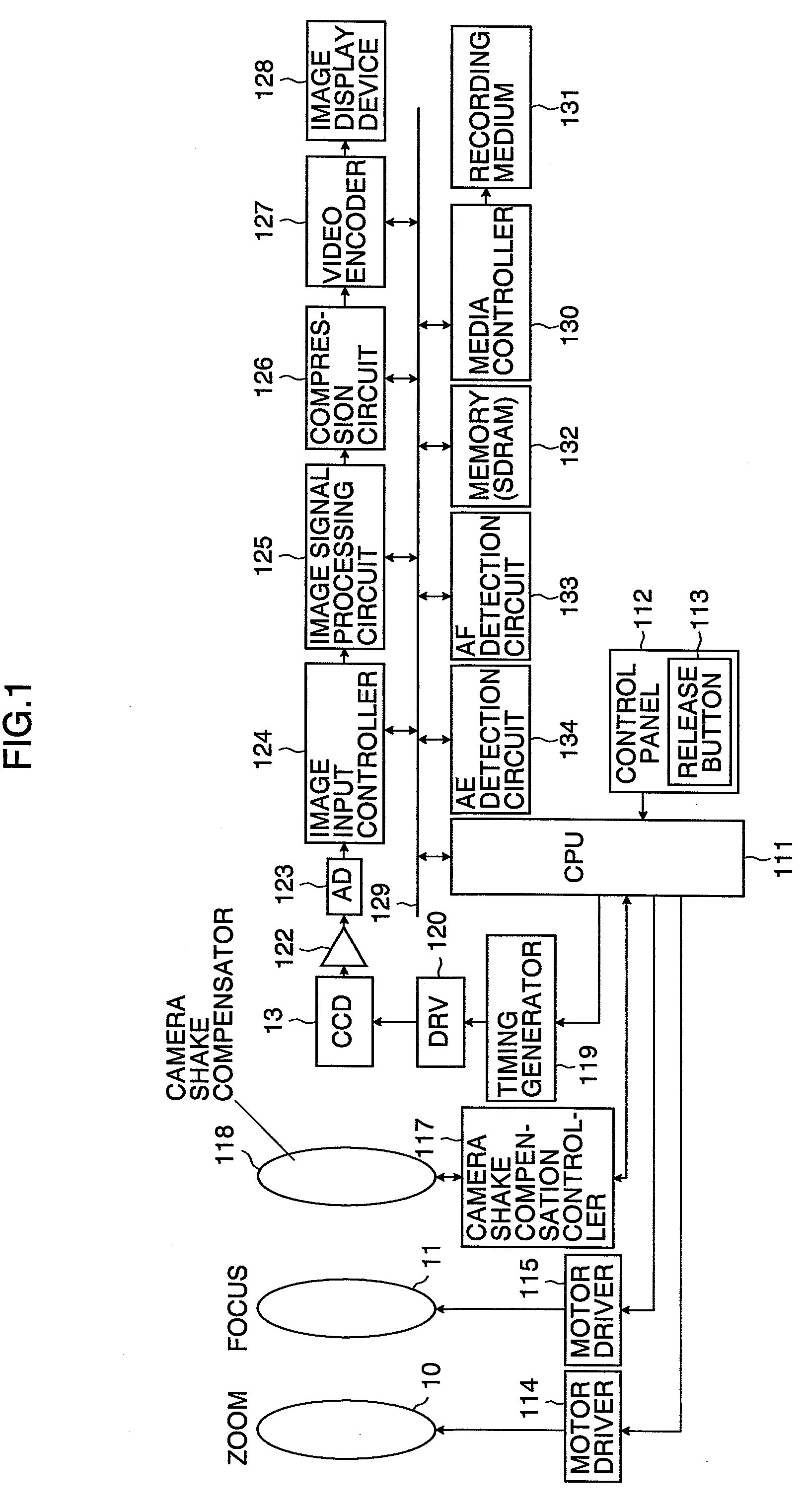 Shake detection apparatus and shake detection method