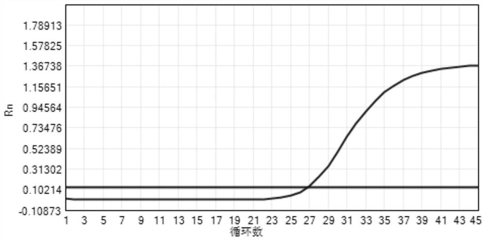 Drug resistance detection composition, drug resistance detection kit and drug resistance detection method