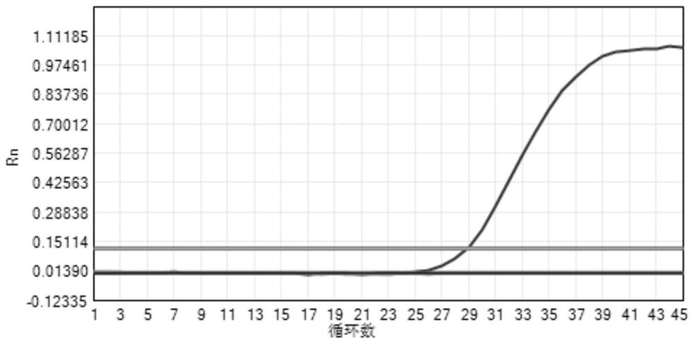 Drug resistance detection composition, drug resistance detection kit and drug resistance detection method