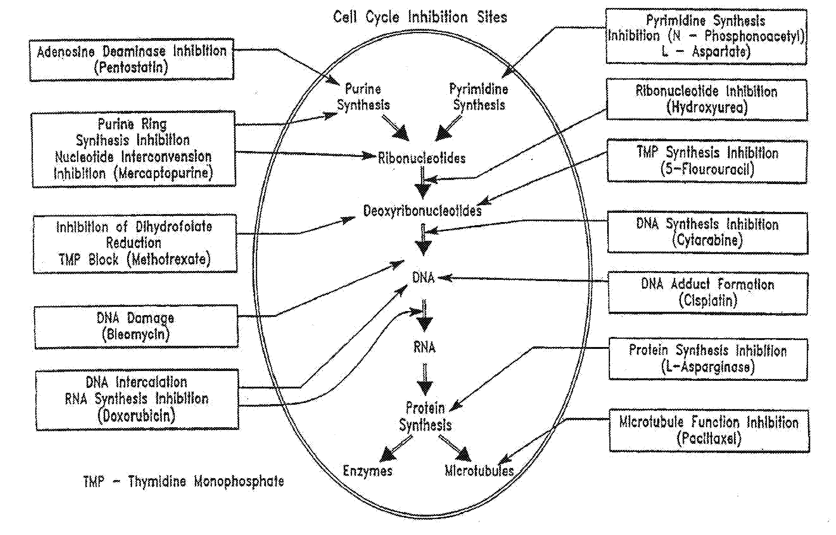 Drug delivery from rapid gelling polymer composition