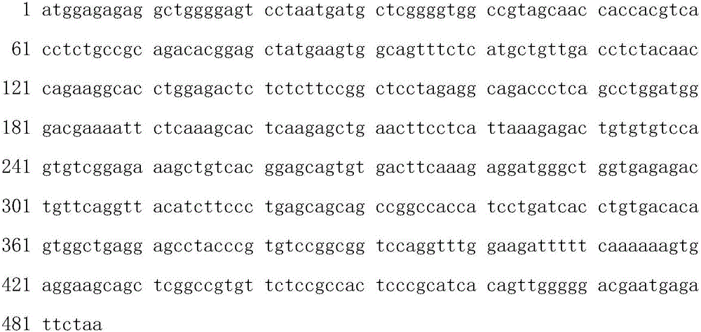 Antimicrobial peptide Cm-CATH2, gene thereof, preparation method and application