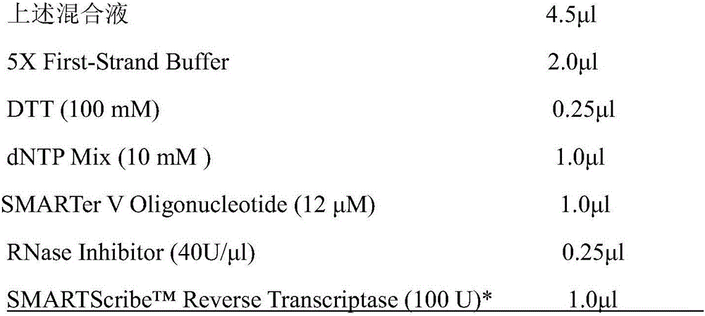 Antimicrobial peptide Cm-CATH2, gene thereof, preparation method and application