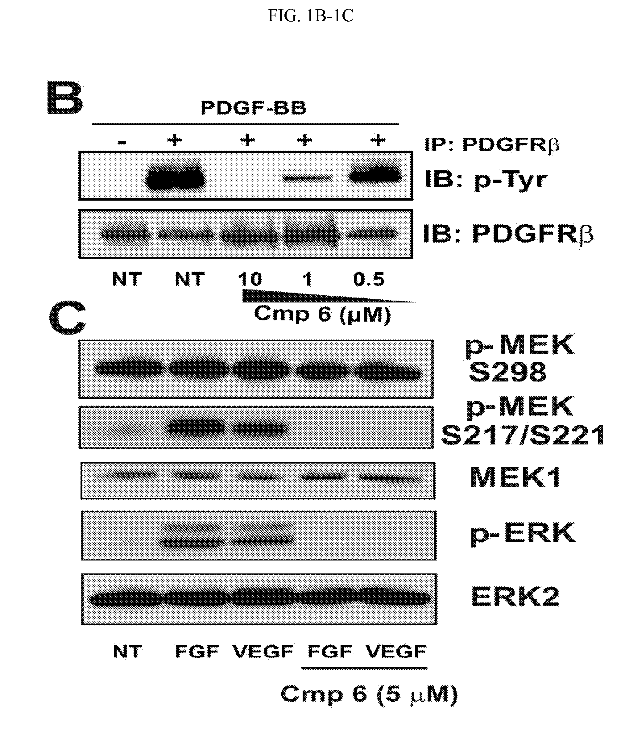 Therapeutic methods and compositions involving allosteric kinase inhibition