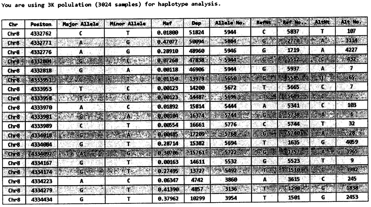 Genome-information-assisted breeding method II, breeding parent selection method based on whole-genome SNP (single nucleotide polymorphism) beneficial haplotype mining