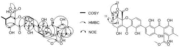 Secalonic acid H derived from penicillium oxalicum and application of secalonic acid H for preparing medicine for preventing human colon cancer