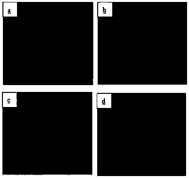 Soft and hydrolysis-resistant PLA (polylactic acid) fiber and preparation method thereof