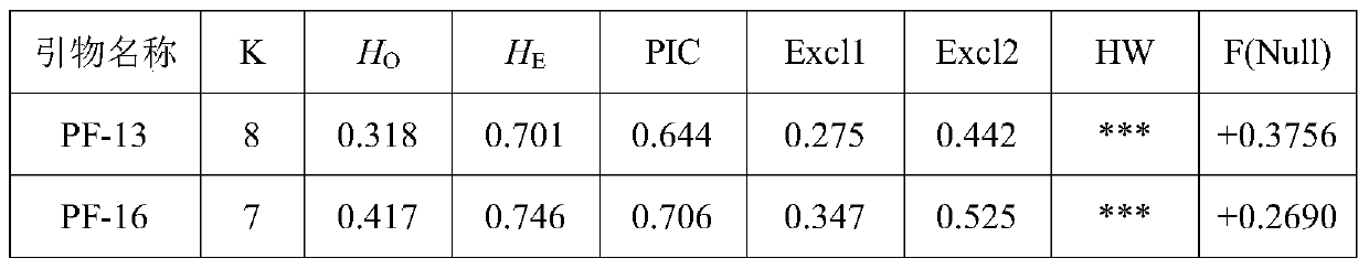 Microsatellite marker primers and identification methods and applications for identification of microsatellite families of Hepu pinnacle oyster