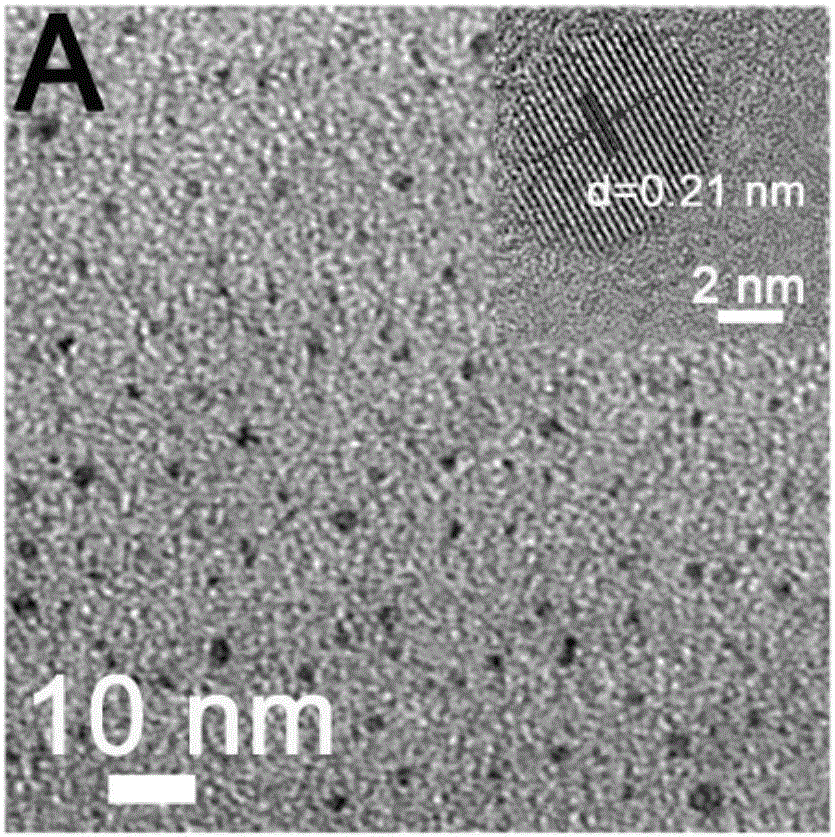 Hydrogen sulfide detection sensor, preparation method thereof, quantitative detection method of hydrogen sulfide, and qualitative detection method of hydrogen sulfide in cells