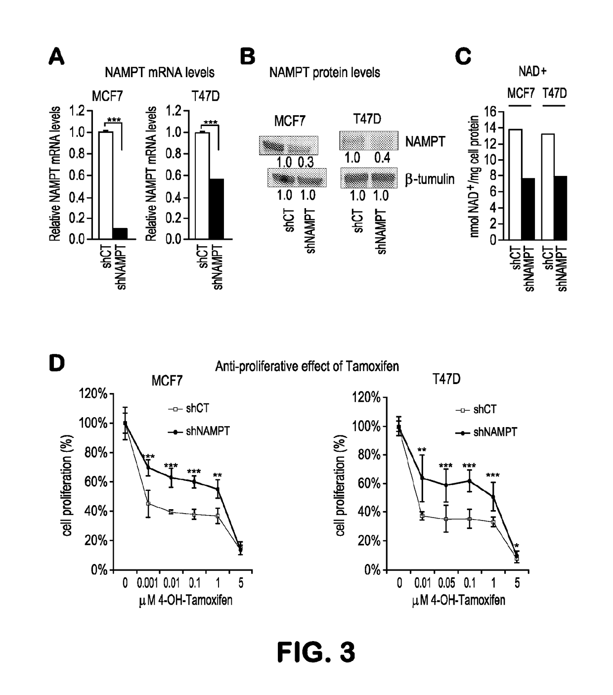 Methods and compositions for enhancing cancer therapy