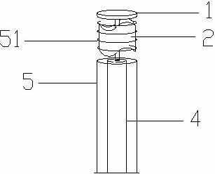 Portable multifunctional electric ear digging device