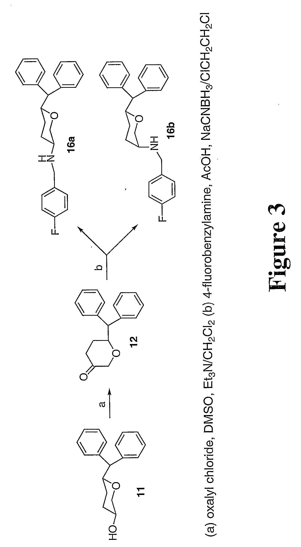 Tri-substitued 2-benzhydryl 5-benzlamino-tetrahydro-pyran-4-ol and 6-benzhydryl-4-benzylamino-tetrahydro-pyran-3-ol analogues, and novel 3,6 disubstituted pyran derivatives