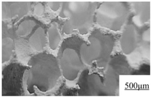 Zirconium loaded biological composite adsorbent used for removing fluorine in water, and regeneration method and applications thereof