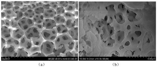 Zirconium loaded biological composite adsorbent used for removing fluorine in water, and regeneration method and applications thereof