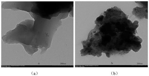 Zirconium loaded biological composite adsorbent used for removing fluorine in water, and regeneration method and applications thereof