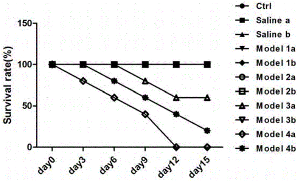 Establishment method of bone marrow suppression mouse model