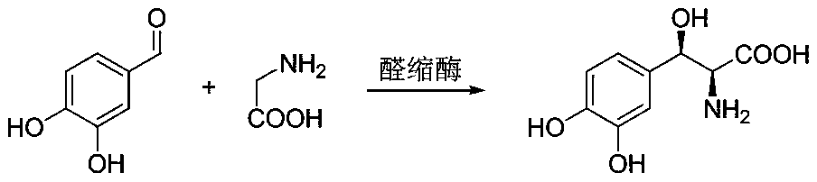 Method for preparing droxidopa