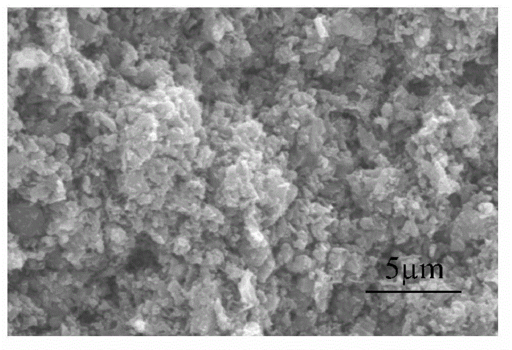 Silicon nitride/silicon carbide complex phase porous ceramic and preparation method thereof