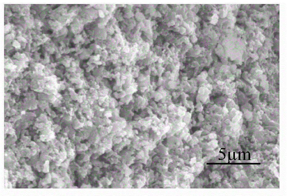 Silicon nitride/silicon carbide complex phase porous ceramic and preparation method thereof