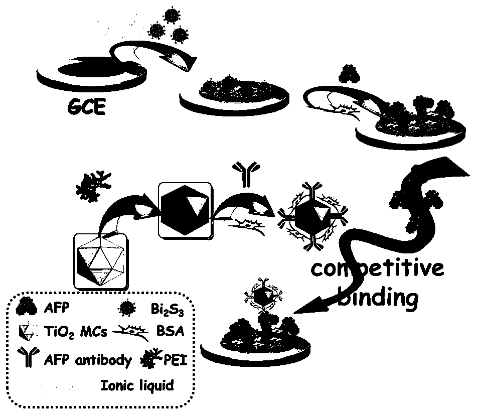 Preparation and application of a photoelectrochemical competitive immune sensor for alpha-fetoprotein based on dual-sensitization structure