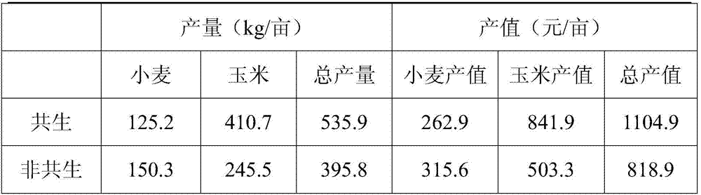 A method for improving saline-alkali land and increasing summer maize yield through plant symbiosis