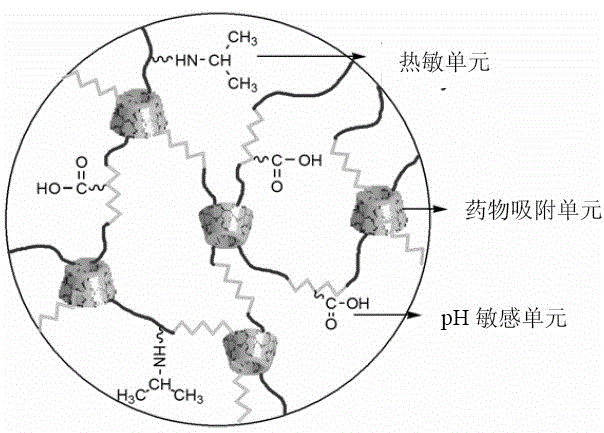 Double-stimulus response hydrogel with cyclodextrin and preparation method thereof